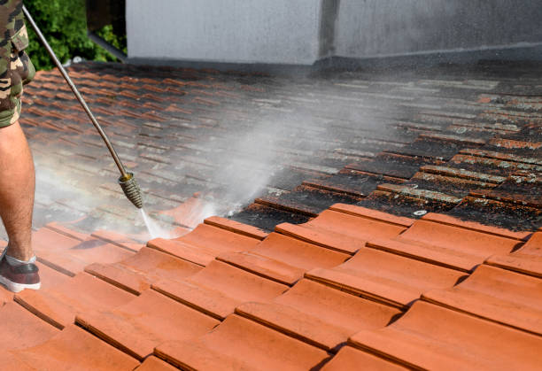 Best Power Washing Near Me  in Schulenburg, TX