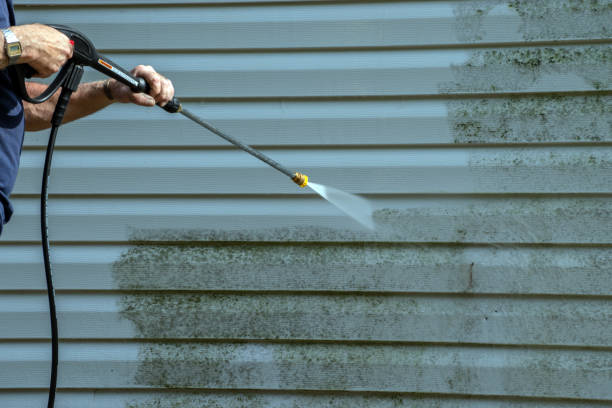 Best Pressure Washing Brick  in Schulenburg, TX
