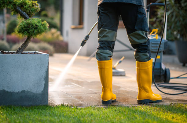 Best Roof Pressure Washing  in Schulenburg, TX